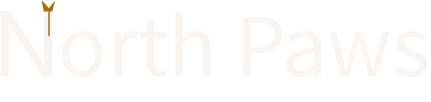 North paws logo with ears top of N