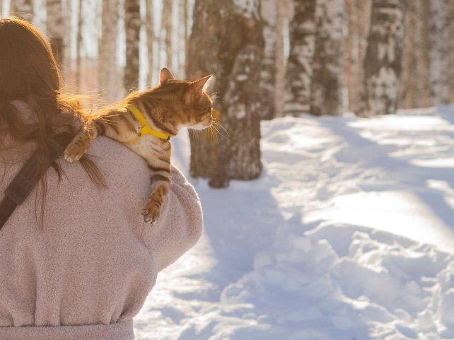 Snowy background woman and her cat