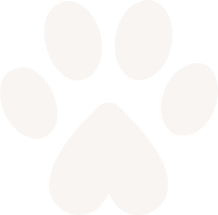 brand png paw